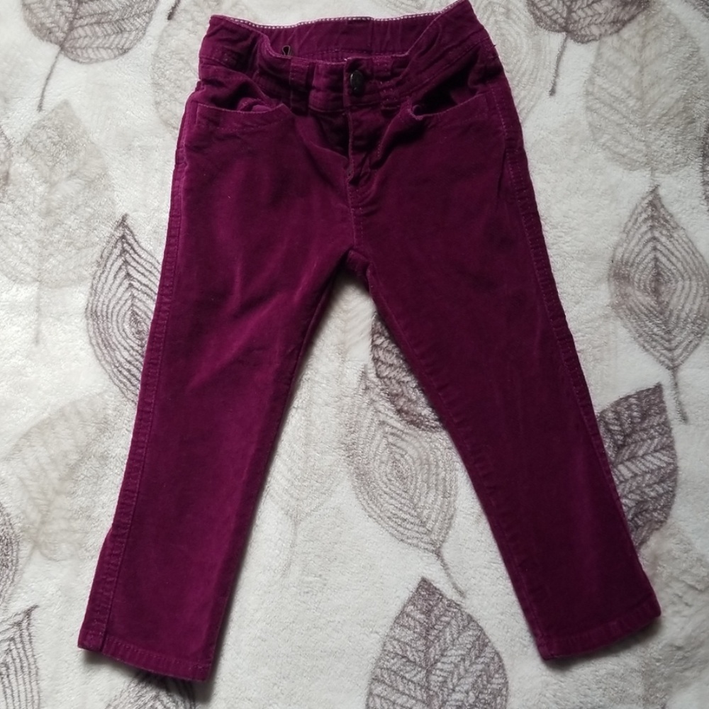 Tea Collection Velour Pants